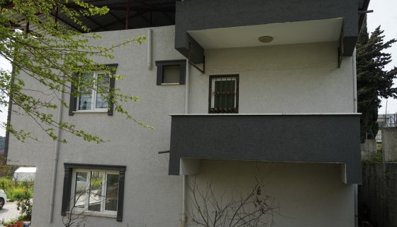 Bostancık Defne